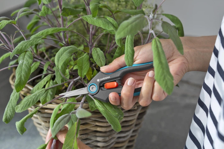 Ножиці для трави і квітів Gardena FreshCut (12212-20.000.00) - зображення 14