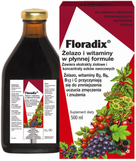 Suplement diety Floradix Żelazo I Witaminy 500 ml (4004148047503) - obraz 1
