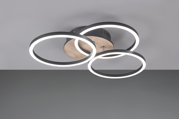 Люстра LED светодиодная потолочная Reality с пультом управления CIRCLE 27W 3200lm 2700 - 6000K (R62823135) на кухню, для спальни, для гостиной - изображение 4