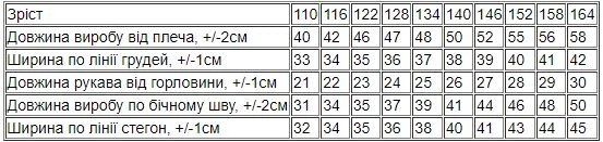 Комплект для хлопчика (футболка+бриджі) Носи своє 116 Синій (p-9926-125011) - изображение 8