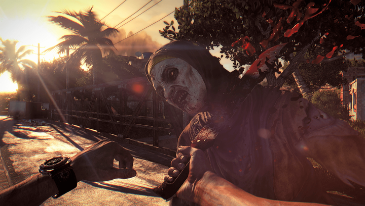 Игра Sony PlayStation 4 Dying Light Английская Версия Б/У - изображение 4