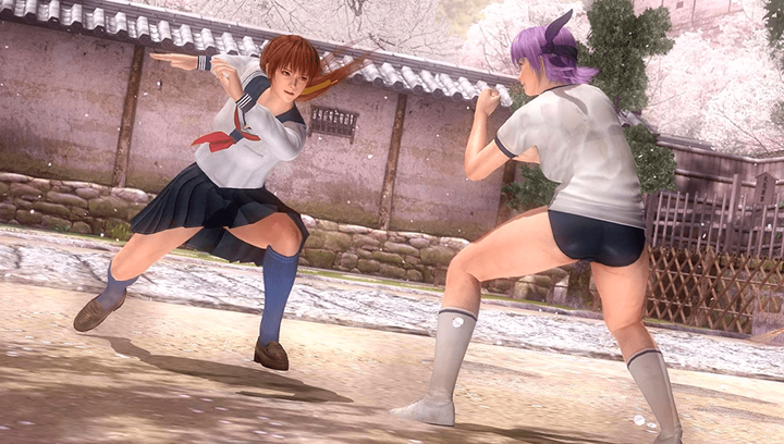 Игра Sony PlayStation 3 Dead or Alive 5 Английская Версия Б/У - изображение 3