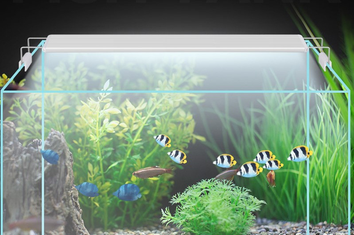 Топ-7 лучших LED-светильников для аквариумных растений