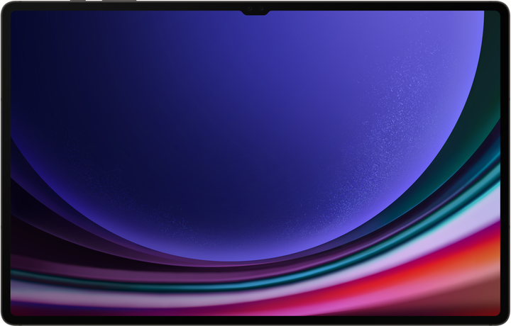 Tablet Samsung Galaxy Tab S9 Ultra Wi-Fi 12/512GB Grafitowy (SM-X910NZAEEUE) - obraz 1