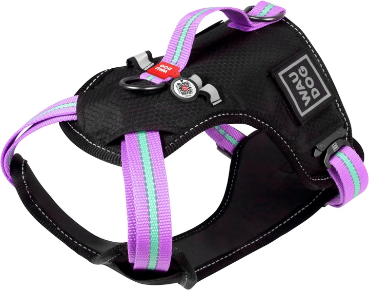 Шлея для собак безопасная Collar WAUDOG Nylon c QR паспортом, металлическая пряжка-фастекс, XL, Ш 25 мм, А 60-95 см, В 80-100 см (52519) - Фото 1 Шлея для собак безопасная Collar WAUDOG Nylon c QR паспортом, металлическая пряжка-фастекс, XL, Ш 25 мм, А 60-95 см, В 80-100 см (52519) - изображение 1