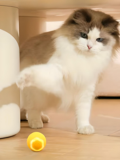 Мячик шарик для кошек и котов, USB smart игрушка со световой индикацией и хаотичным движением, цветок, green - изображение 6