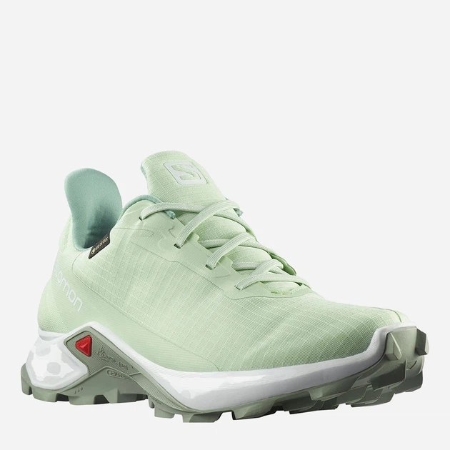 Buty do biegania damskie Salomon Alphacross 3 GTX 416013 38 (6.5US) 23.5 cm Jasnozielone (193128904661) - obraz 2