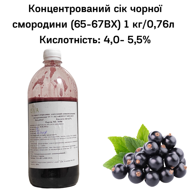 Концентрований сік чорної смородини (65-67 ВХ) пляшка 1 кг / 0,76 л - Фото 1 Концентрований сік чорної смородини (65-67 ВХ) пляшка 1 кг / 0,76 л - зображення 1