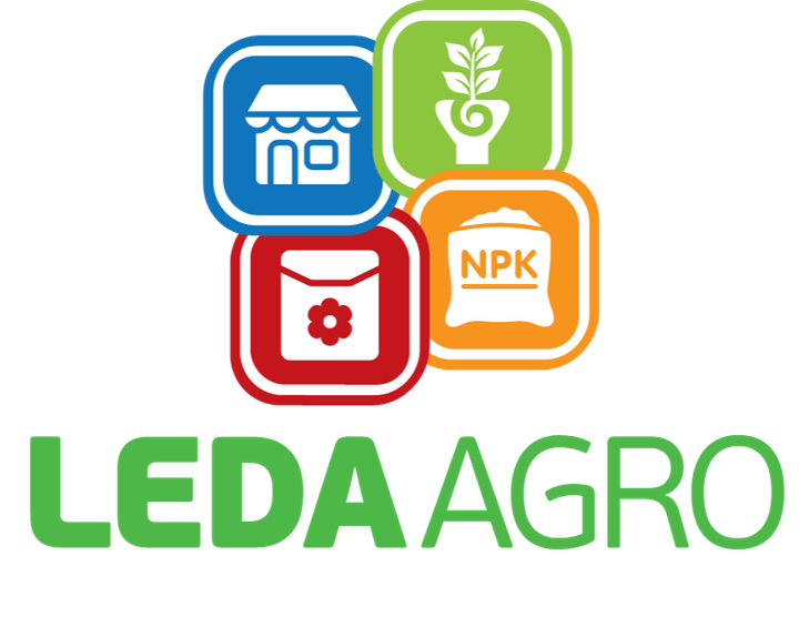 Меренга F1 Огірок Самозапильний Насіння Leda Agro 250 шт - изображение 2