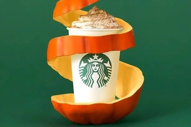 Кофе молотый Starbucks Arabica Beans Pumpkin Spice 481 г - Фото 4 Кофе молотый Starbucks Arabica Beans Pumpkin Spice 481 г - изображение 4