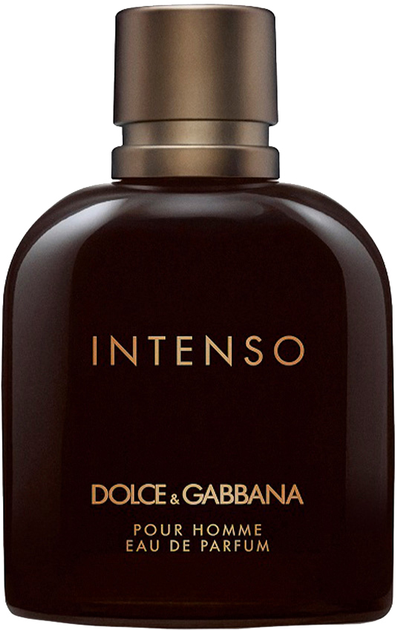 Woda perfumowana Dolce&Gabbana Pour Homme Intenso 40 ml (737052783697) - obraz 1