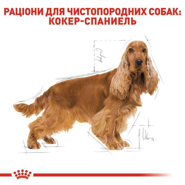 Сухой корм Royal Canin (Роял Канин) Cocker Adult для кокер спаниелей от 12 мес. 3 кг 