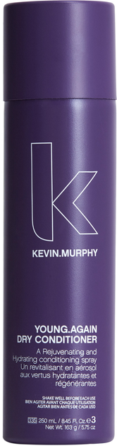 Odżywka do włosów Kevin Murphy Young.Again Dry Conditioner 250 ml (9339341011644) - obraz 1