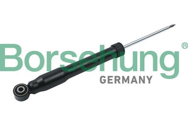 Амортизаторы Borsehung B14718 Volkswagen Tiguan 5N0513049K, 5N0513049T - изображение 1
