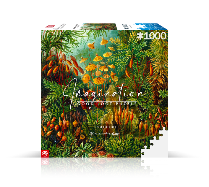 Puzzle Good Loot Imagination Ernst Haeckel Muscinae 1000 elementów (5908305239642) - obraz 5
