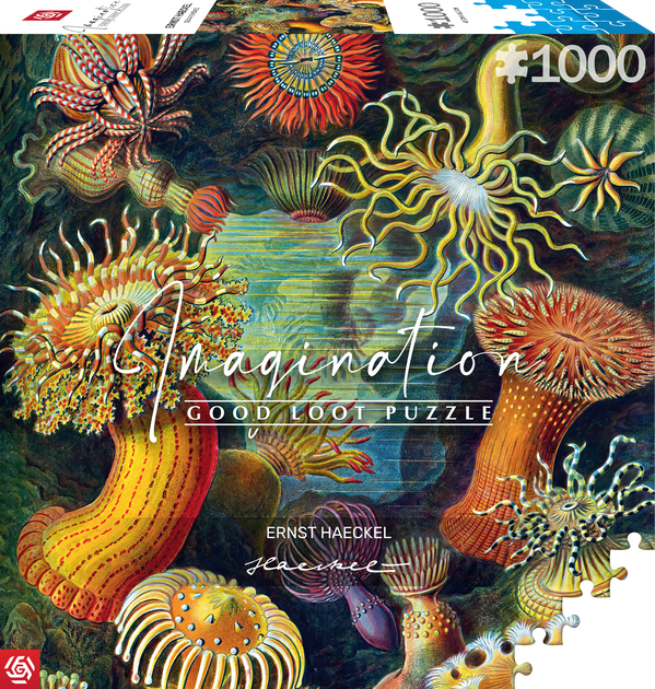 Puzzle Good Loot Imagination Ernst Haeckel Stworzenia morskie 1000 elementów (5908305244943) - obraz 1