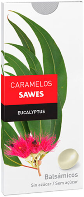 Witaminowe lizaki Sawes Sugar Free Eucalyptus Candies 22 g (8470001833433) - obraz 1