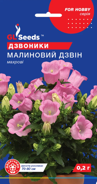 Насіння Дзвіночок Малиновий дзвін, махровий, 0,2 г (GL Seeds) - Фото 1 Насіння Дзвіночок Малиновий дзвін, махровий, 0,2 г (GL Seeds) - зображення 1