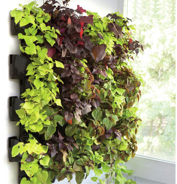 Настінний модуль AquaEl Versa Garden Starter (114257) (5905546306553) - зображення 3