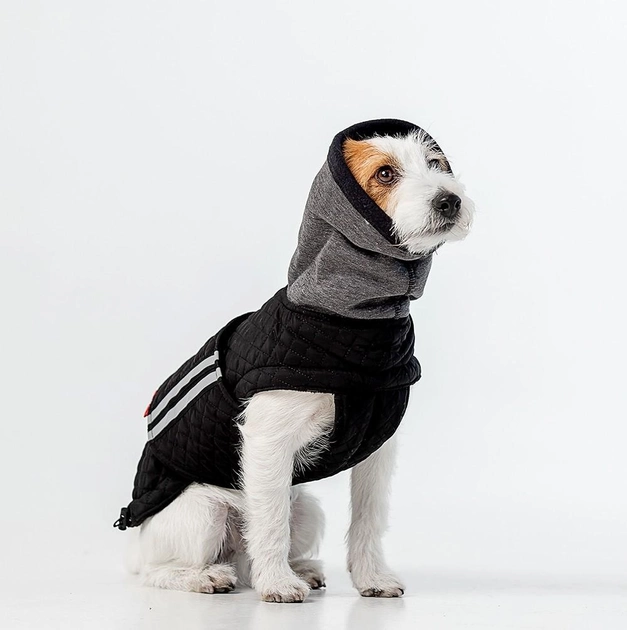 Одежда для собак по низким ценам