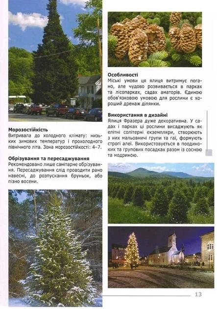Екзотичні дерева, кущі та ліани в ландшафтах України - 138313 - зображення 10