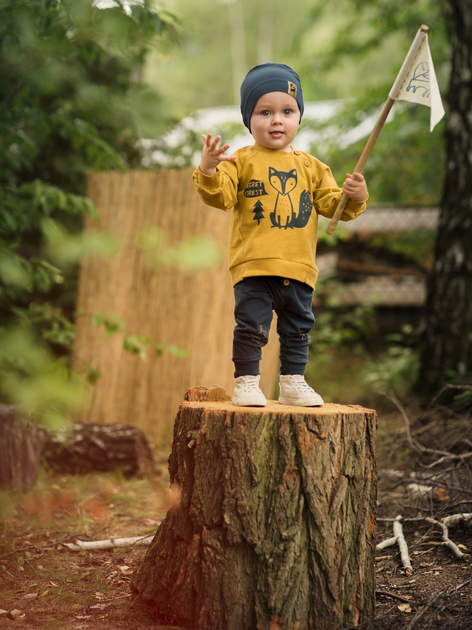 Дитячий світшот для хлопчика Pinokio Secret Forest 68 см Жовтий (5901033253003) - зображення 2