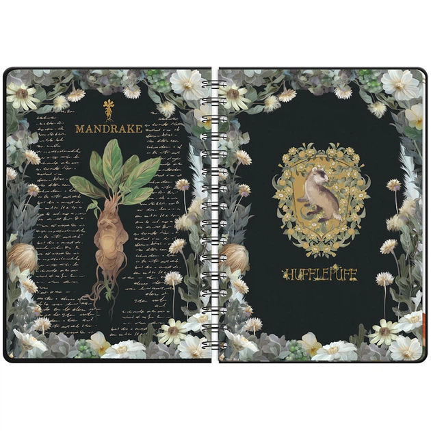 Дневник на спирали Kite Harry Potter А5 138 страниц черный (HP23-438) - изображение 6