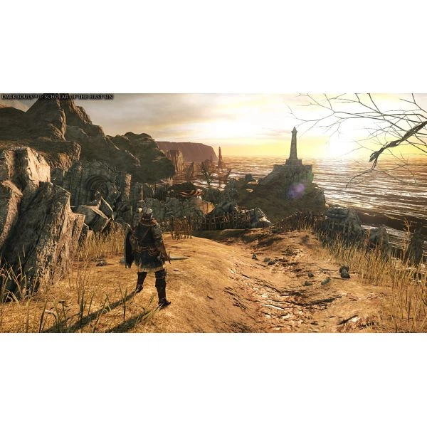 Dark Souls Trilogy (русские субтитры) (PS4) - Фото 2 Dark Souls Trilogy (русские субтитры) (PS4) - изображение 2
