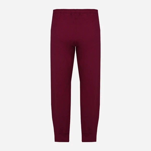 Spodnie dresowe męskie DKaren Pants Justin L Bordowe (5903251464599) - obraz 4