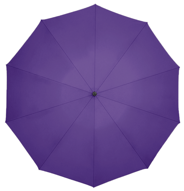 Парасолька складна автоматична Zuodu (ZD001) Purple - Фото 2 Парасолька складна автоматична Zuodu (ZD001) Purple - зображення 2