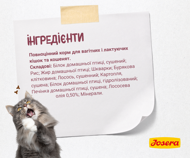 JOSERA Kitten 10 кг - Корм з лососем для кошенят та кішок - изображение 4