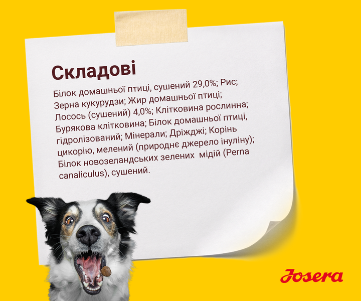 JOSERA Large Breed 15 кг - Корм із лососем для великих та гігантських порід - Фото 4 JOSERA Large Breed 15 кг - Корм із лососем для великих та гігантських порід - зображення 4