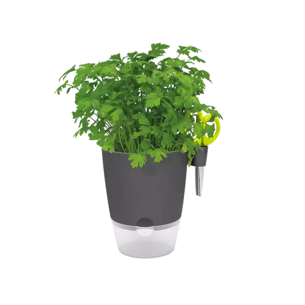 Вазон ELHO Brussels Herbs All in 1 круглий антрацит пластиковий 13х21,5 см (274733) - зображення 2