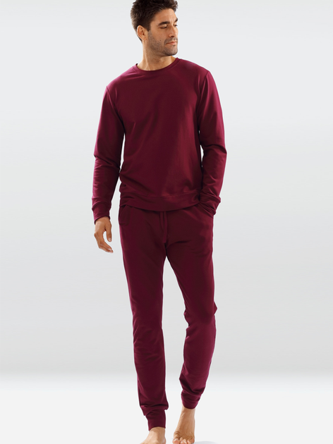 Спортивний костюм DKaren Set Justin L Maroon (5903251463318) - зображення 1