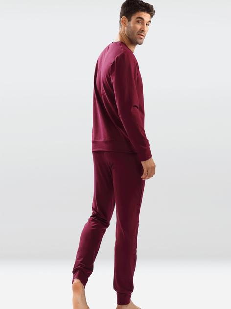 Спортивний костюм DKaren Set Justin L Maroon (5903251463318) - зображення 2