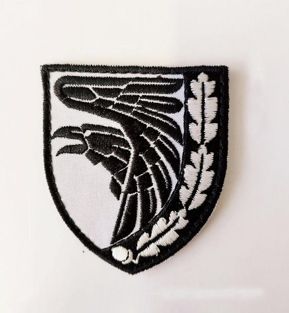 Шеврон, нарукавна емблема з вишивкою ВОРОН, на липучці 80×70мм Білий - зображення 1