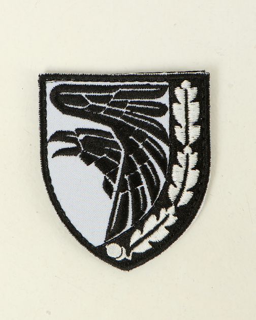 Шеврон, нарукавна емблема з вишивкою ВОРОН, на липучці 80×70мм Білий - зображення 2