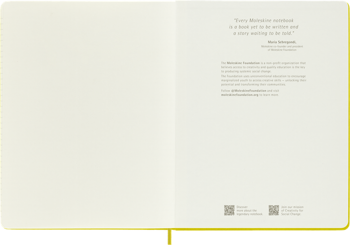 Блокнот Moleskine Limited Silk большой 19х25 см в линию Соломяно-Желтый (8056598853056) - Фото 5 Блокнот Moleskine Limited Silk большой 19х25 см в линию Соломяно-Желтый (8056598853056) - изображение 5