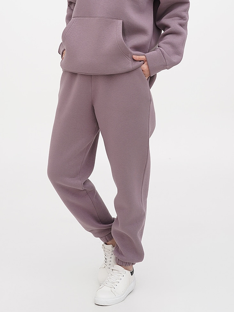 Спортивные штаны утепленные женские EQUILIBRI OD Jogger Fleece AR S ...