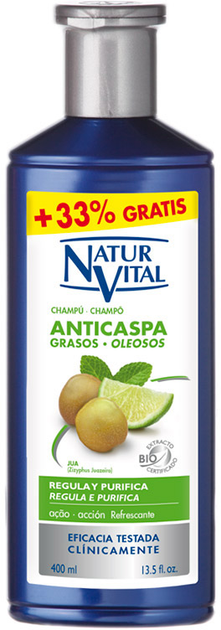 Шампунь проти лупи Naturvital Naturaleza Y Vida Anticaspa Grasos Oleosos Shampoo 400 мл (8414002061013) - зображення 1