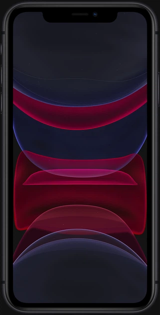 Мобильный телефон Apple iPhone 11 128GB Black (MHDH3FS/A) – фото