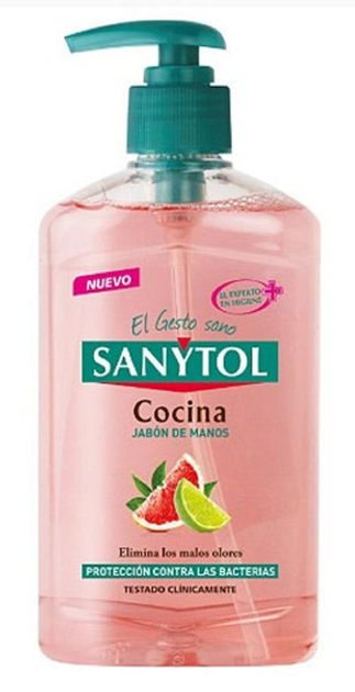 Mydło w płynie Sanytol Kitchen Hand Soap 250 ml (8411135005051) - obraz 1