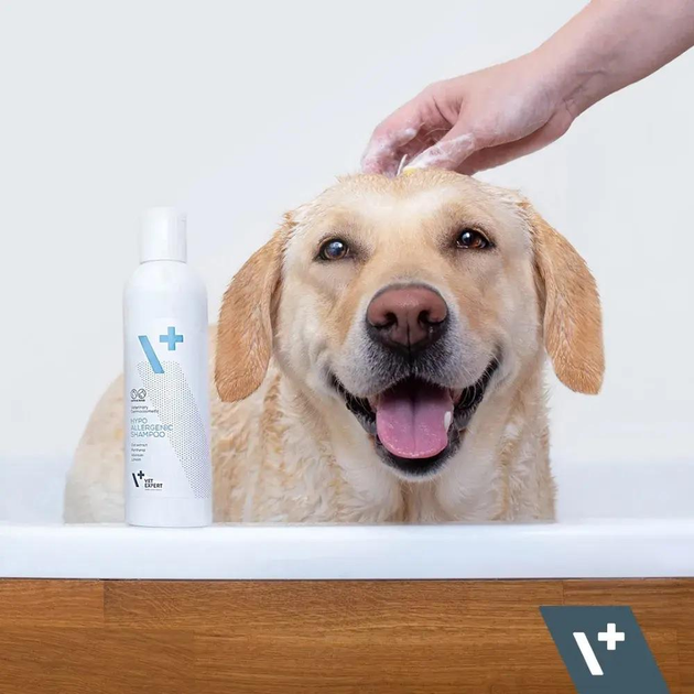 VetExpert (ВетЭксперт) Hypoallergenic Shampoo – гипоаллергенный шампунь ...
