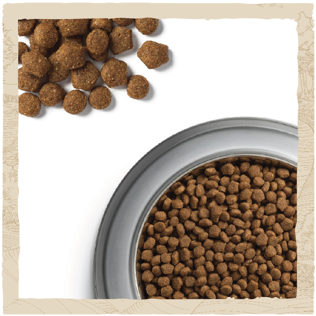 Sucha karma dla szczeniąt dużych ras Dog Chow Puppy Large Breed z indykiem 14 kg (7613034487919) - obraz 6
