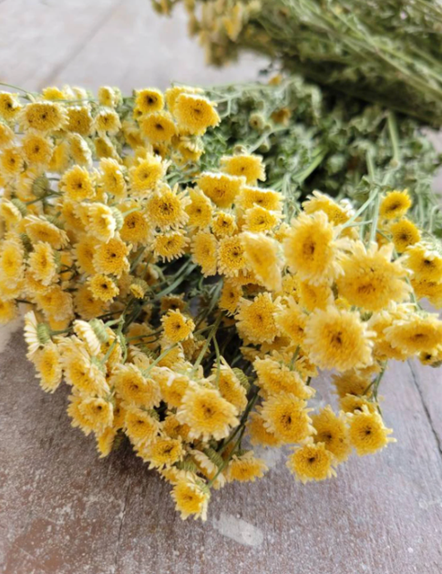 Насіння Ромашка дівоча Сонячна куля, 0,1 г (Насіння України) - Фото 3 Насіння Ромашка дівоча Сонячна куля, 0,1 г (Насіння України) - зображення 3