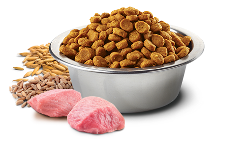 Сухой корм Farmina Low Grain Cat Adult Lamb & Blueberry для взрослых котов ягненок/черника 1.5 кг (арт 156433) - изображение 2