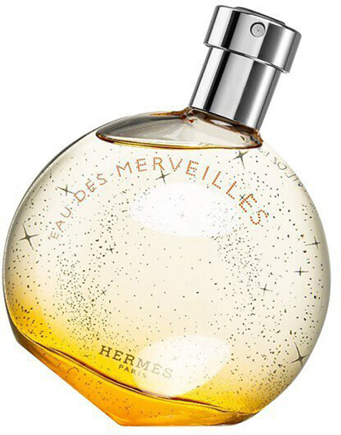 Woda toaletowa damska Hermes Eau Des Merveilles 100 ml (3346130010265) - obraz 1