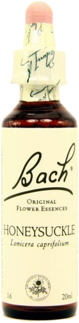Краплі для фітотерапії Bach 16 Верес 20 мл (5000488103922) - зображення 1