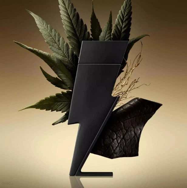 Парфюмированная вода для мужчин Carolina Herrera Bad Boy Le