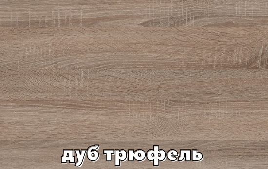 Шкаф-купе двухдверный Комфорт Мебель 150*60*210 см Трюфель ДСП + Зеркало Макси - изображение 3